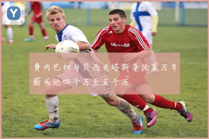 费内巴切与贝西克塔斯争抢莱万年薪或达四千万至五千万
