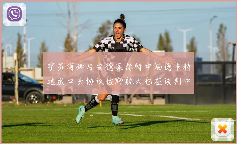 霍芬海姆与安德莱赫特中场德卡特达成口头协议佐野航大也在谈判中