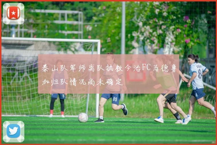 泰山队军师离队执教今治FC马德鲁加归队情况尚未确定